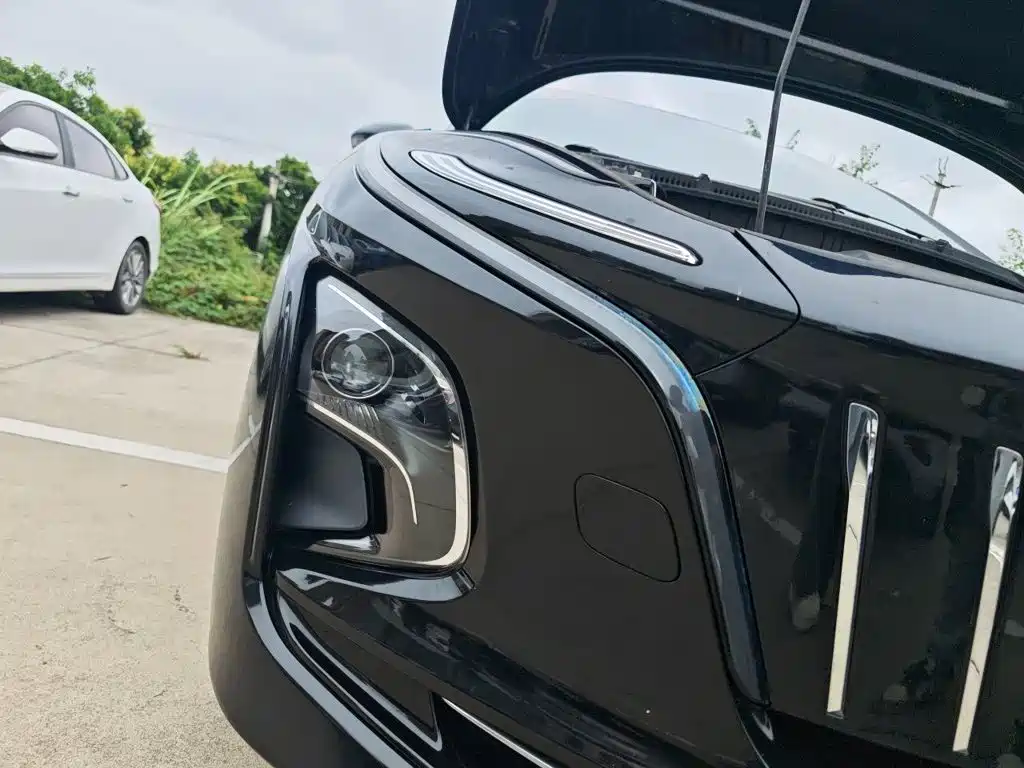 Hongqi Hongqi E-QM5 — миниатюра 7