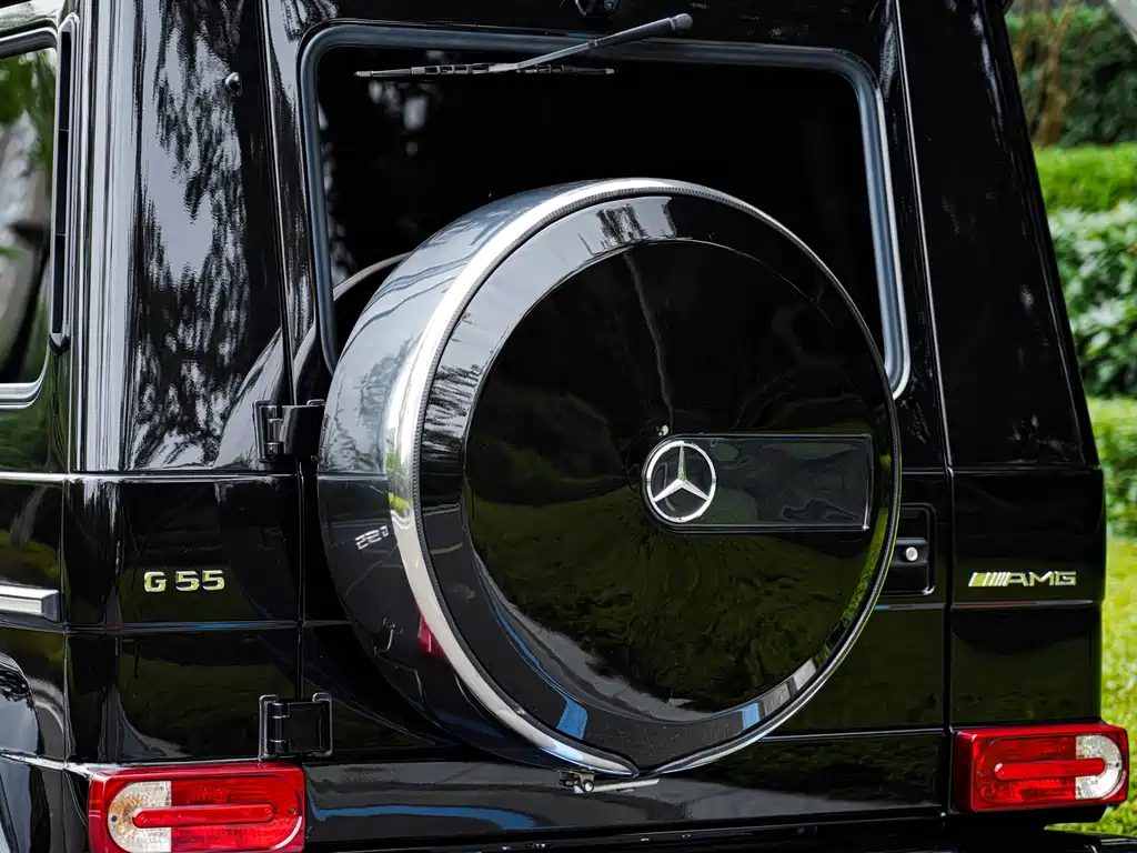 Mercedes-Benz G-Class A MG G AMG 2009 AMG G 55
