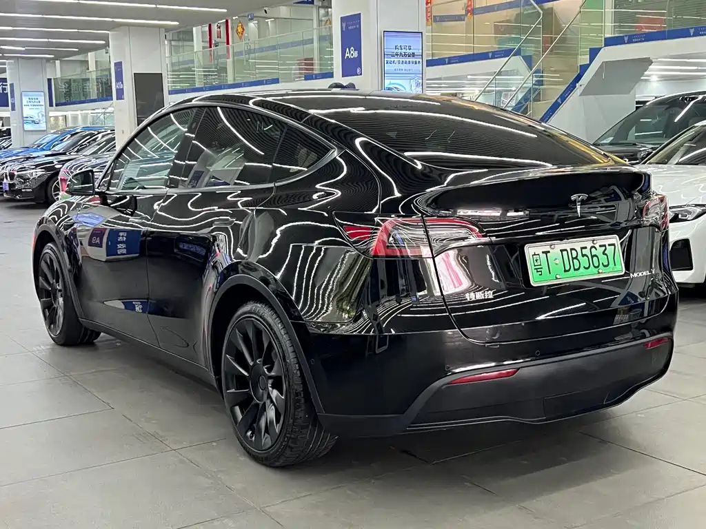 Tesla Model Y — миниатюра 8
