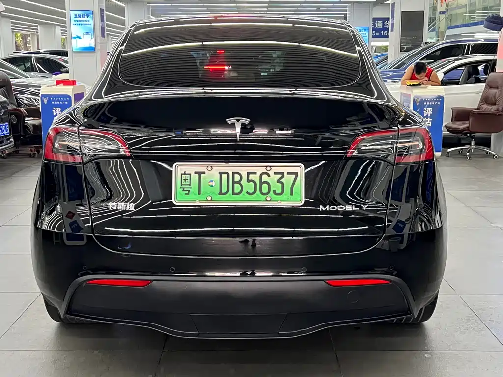 Tesla Model Y — миниатюра 9