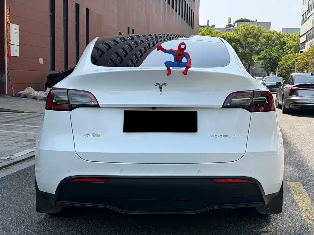 Tesla Model Y — миниатюра 14