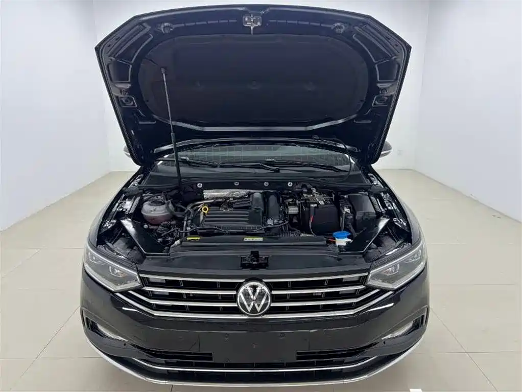 Volkswagen Magotan 2020 280TSI DSG Comfort