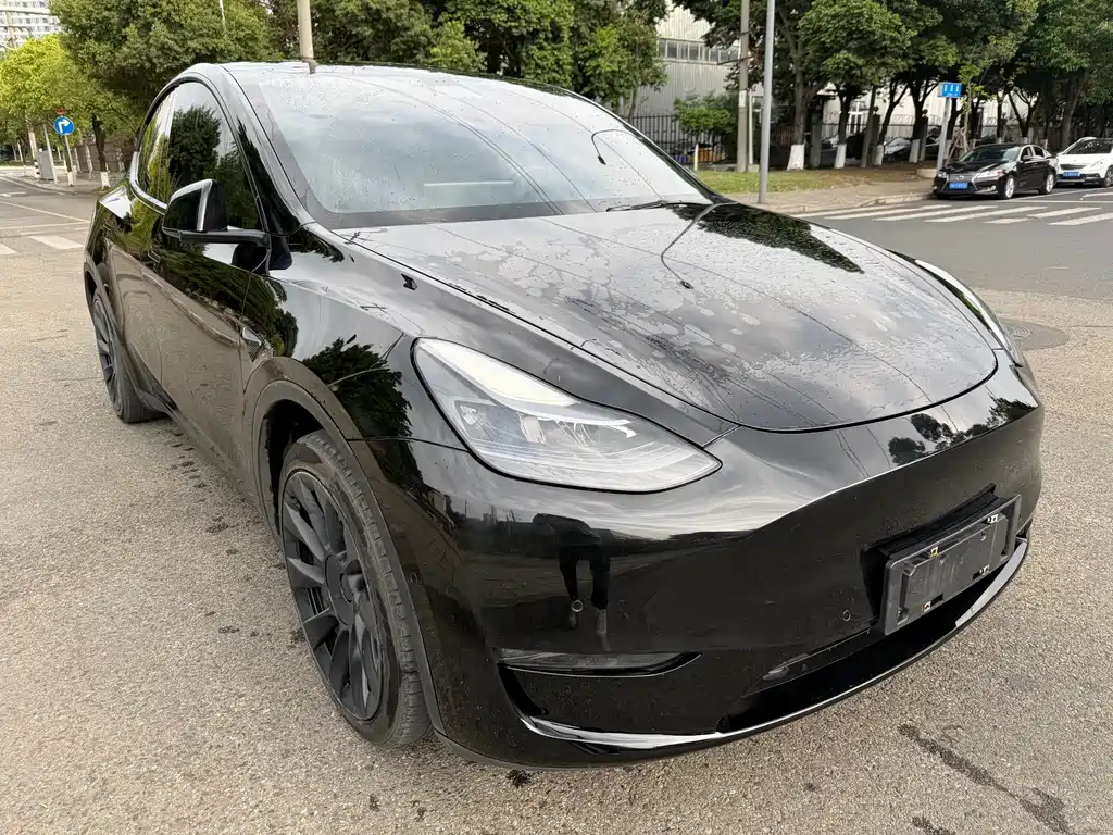 Tesla Model Y — миниатюра 3