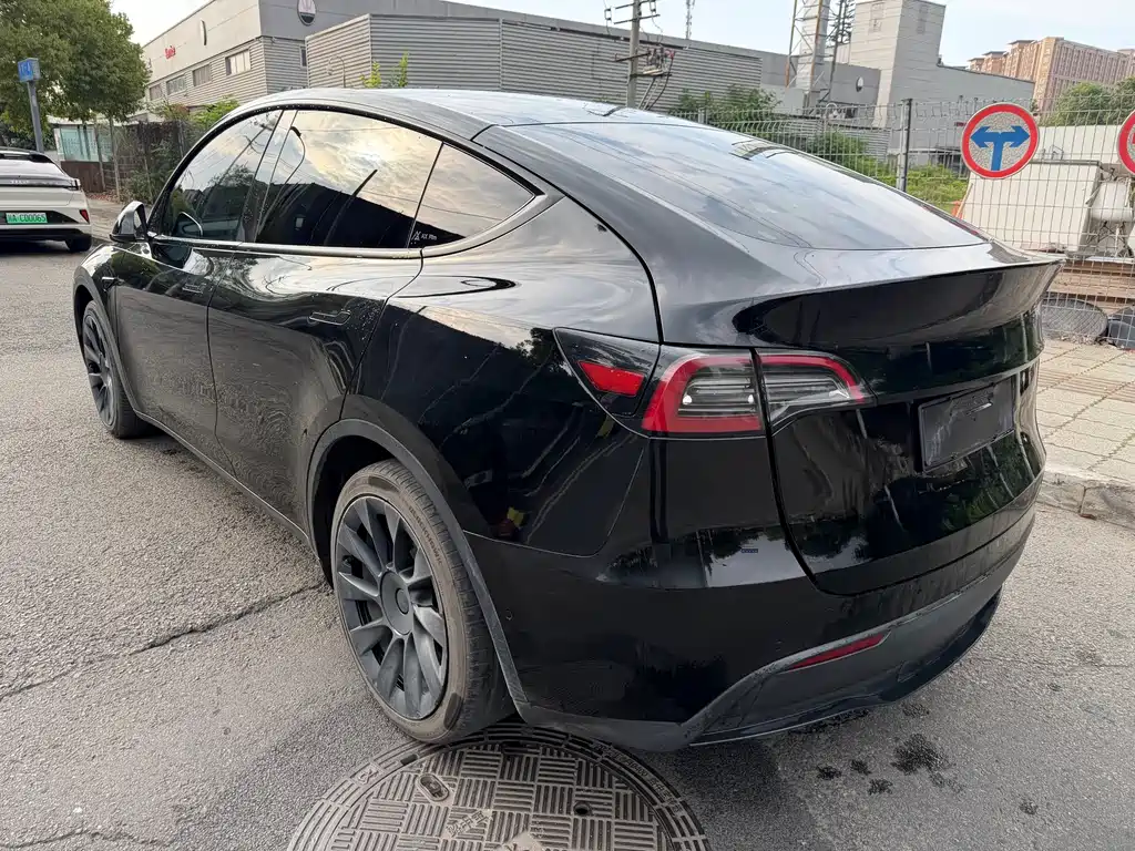 Tesla Model Y — миниатюра 5