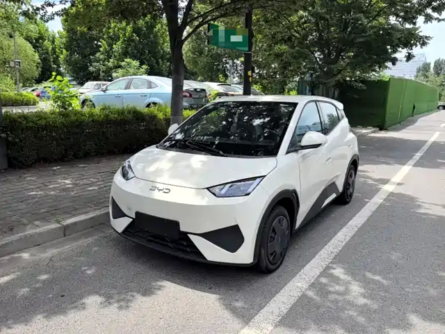 2026 BYD Seagull