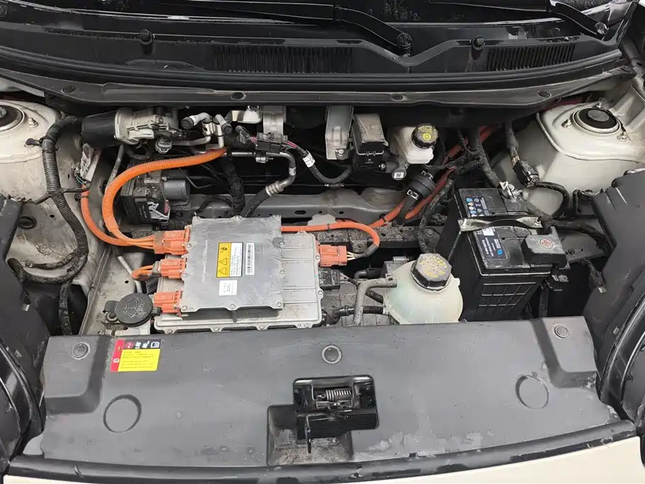 Wuling Binguo 2024 333km Enjoy