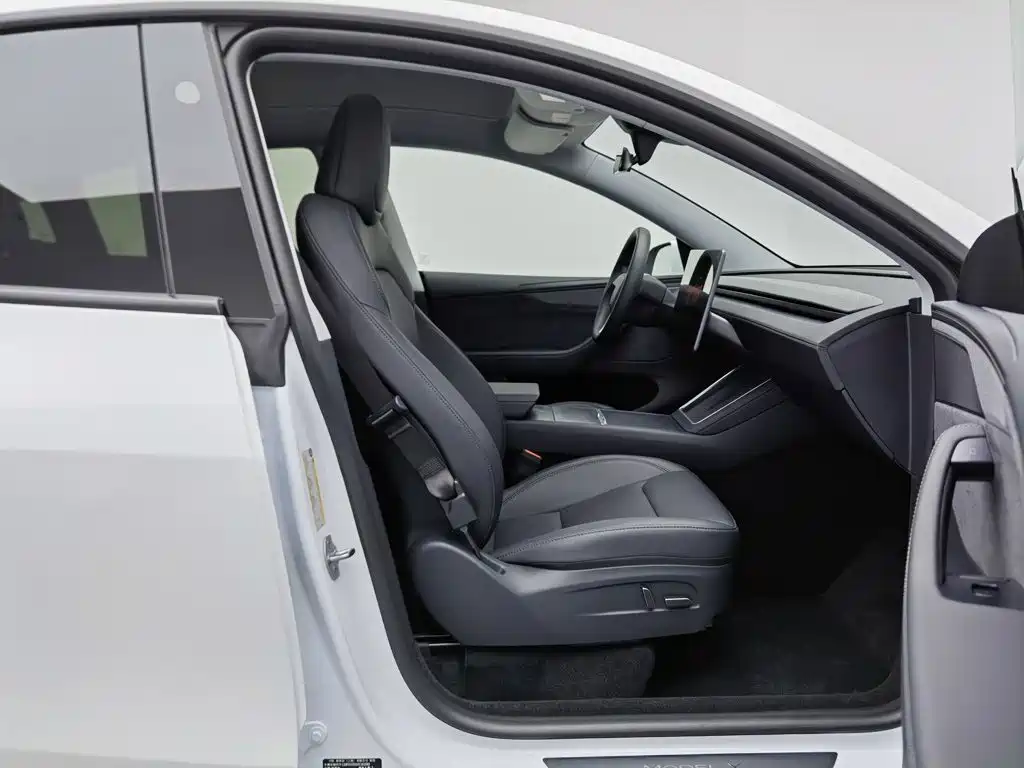 Tesla Model Y — миниатюра 23