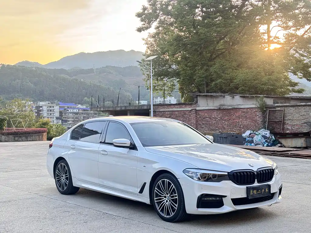 BMW 5 Series 5 2019 530Li Lead M Sport