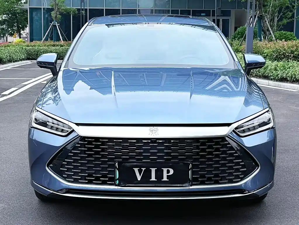BYD Qin Plus PLUS 2024 DM-i 55KM Lead