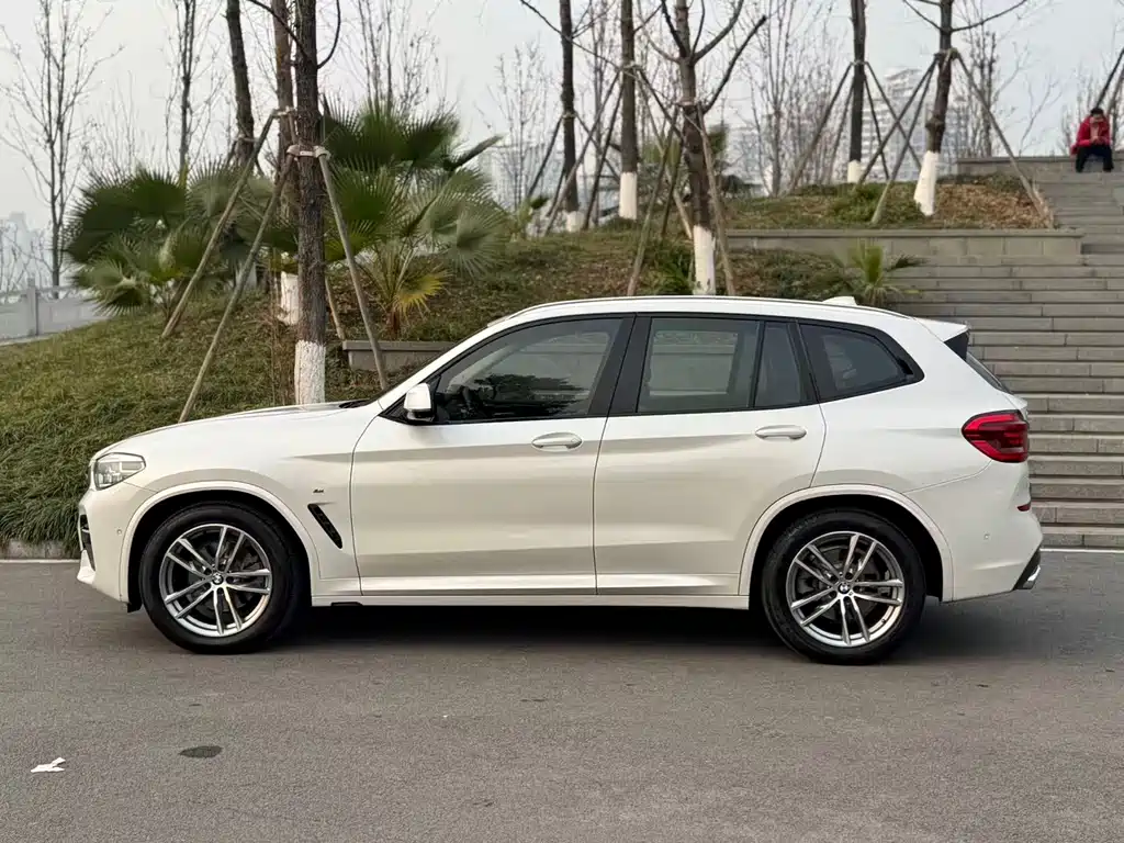 BMW X3 2018 xDrive30i Lead M Sport V