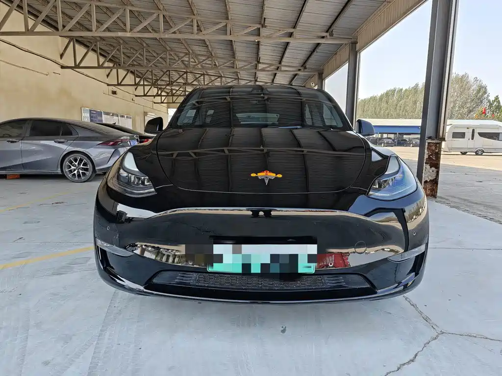 Tesla Model Y — миниатюра 2