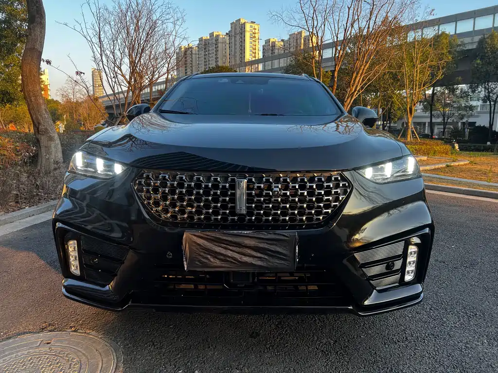 WEI PAI WEI BRAND VV7