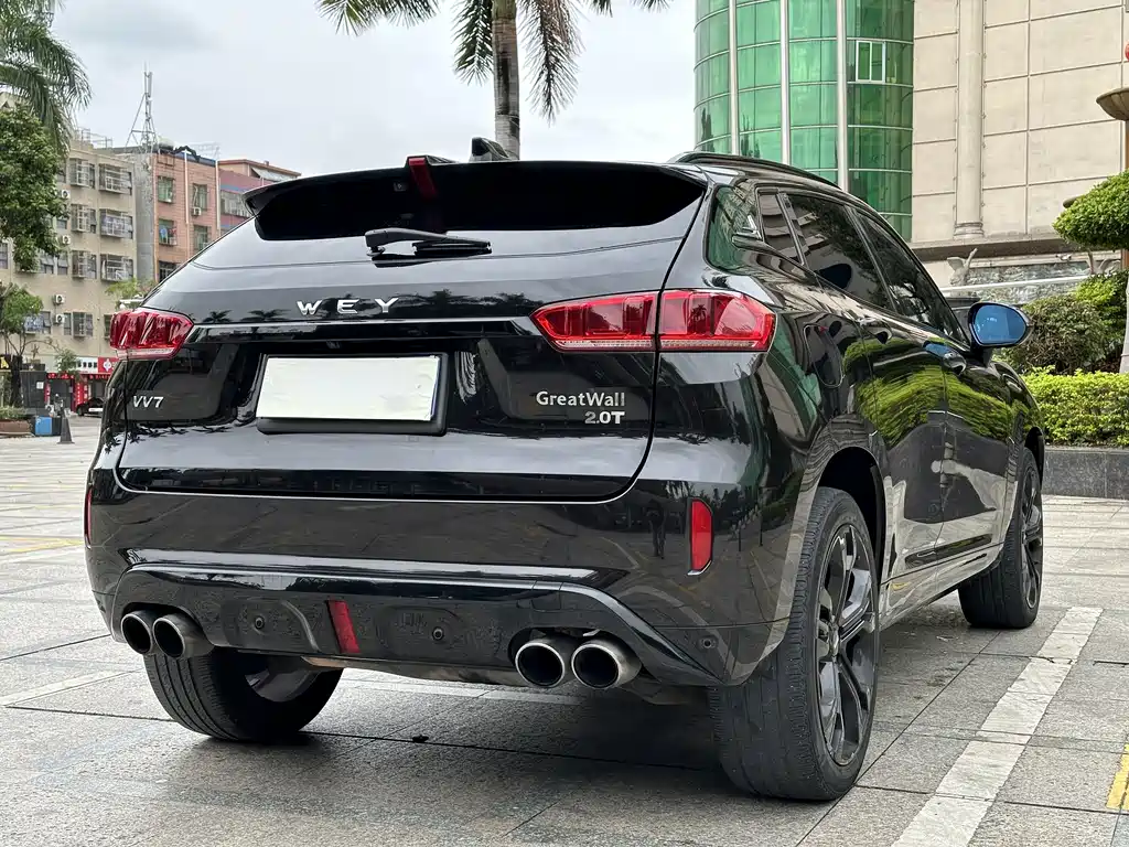 WEI PAI WEI BRAND VV7