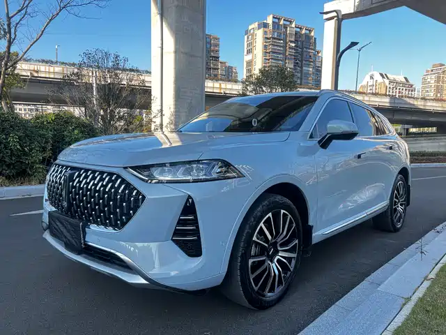 WEI PAI WEI BRAND MOCHA