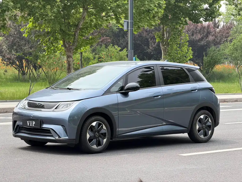 Byd Dolphin 2024