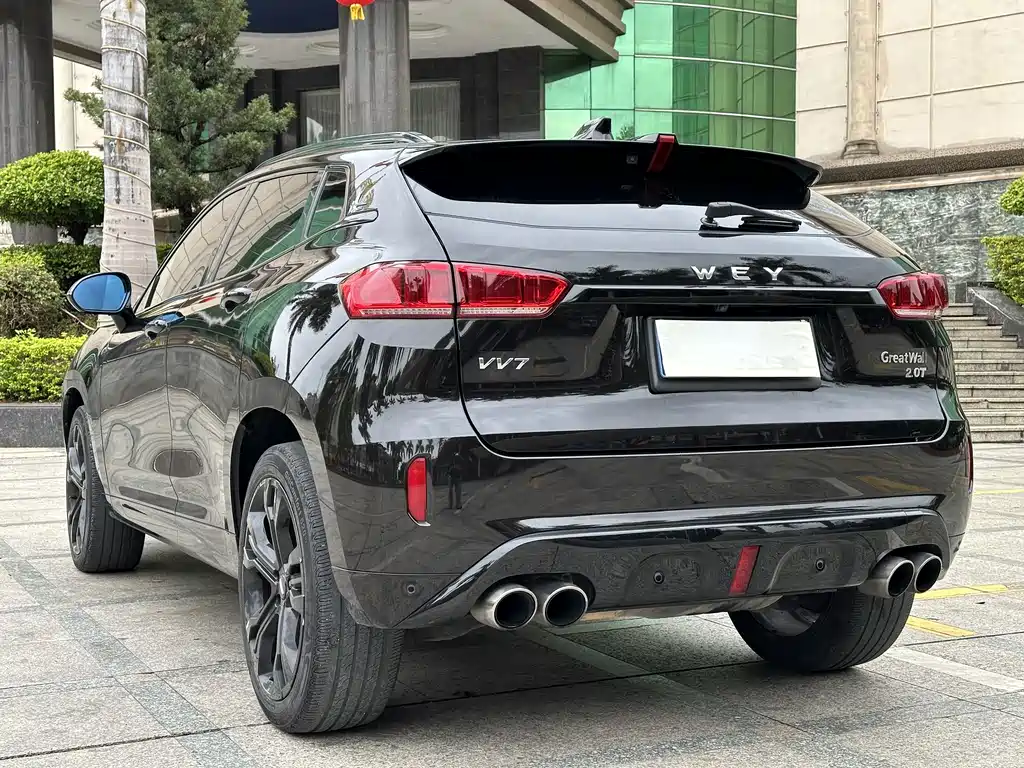 WEI PAI WEI BRAND VV7