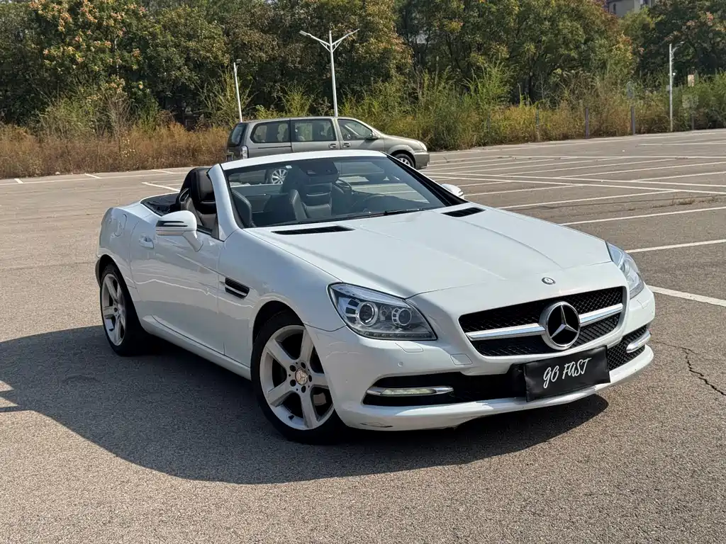 Mercedes-Benz SLK-Class — миниатюра 4
