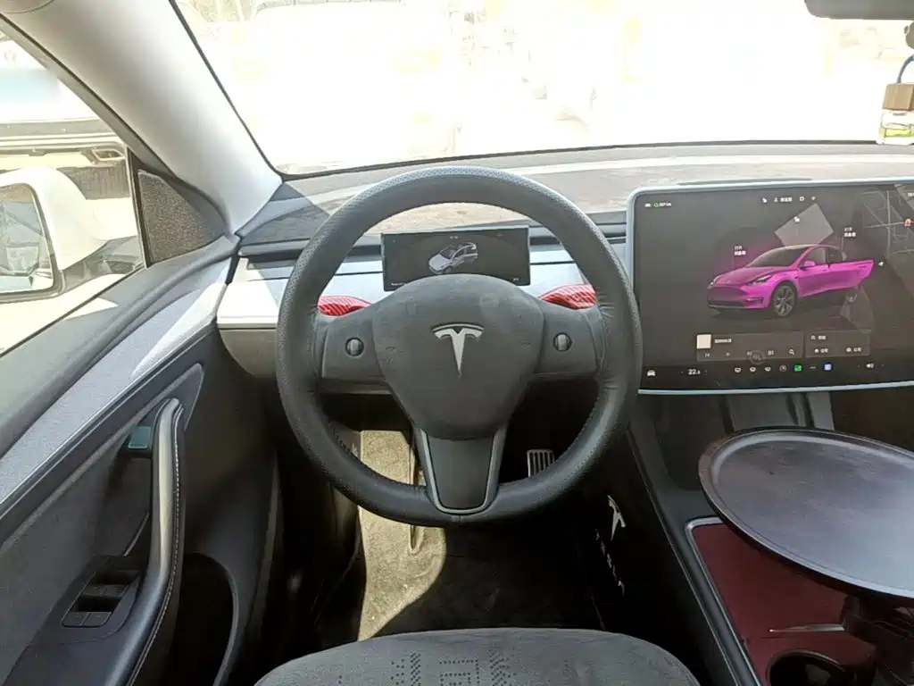Tesla Model Y — миниатюра 11