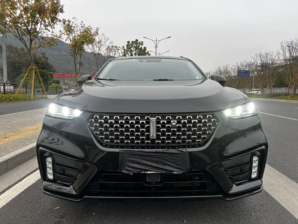 WEI PAI WEI BRAND VV7