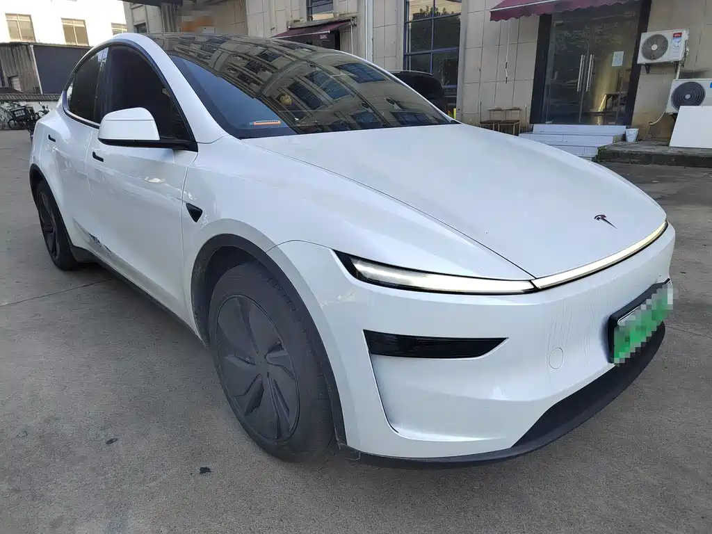 Tesla Model Y — миниатюра 3