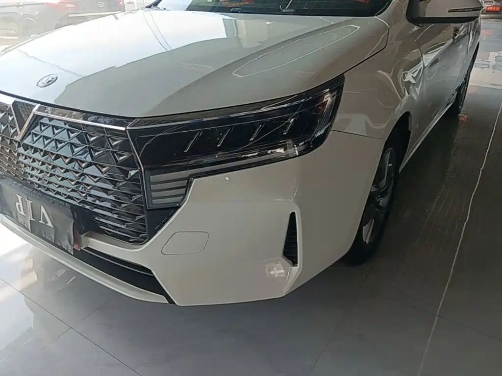 Venucia D60 — миниатюра 24