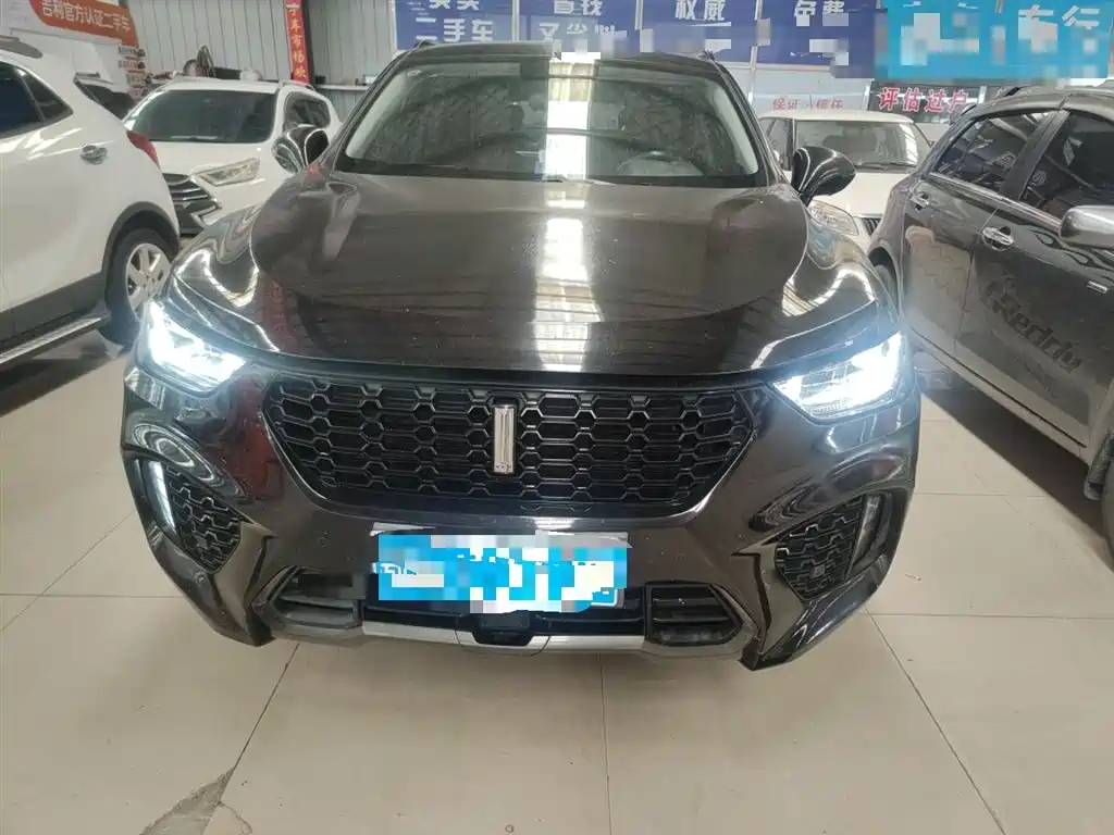 WEI PAI WEI BRAND VV5