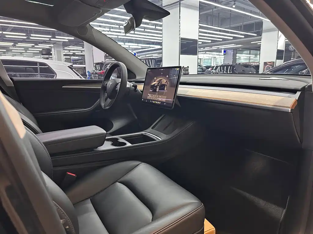 Tesla Model Y — миниатюра 11