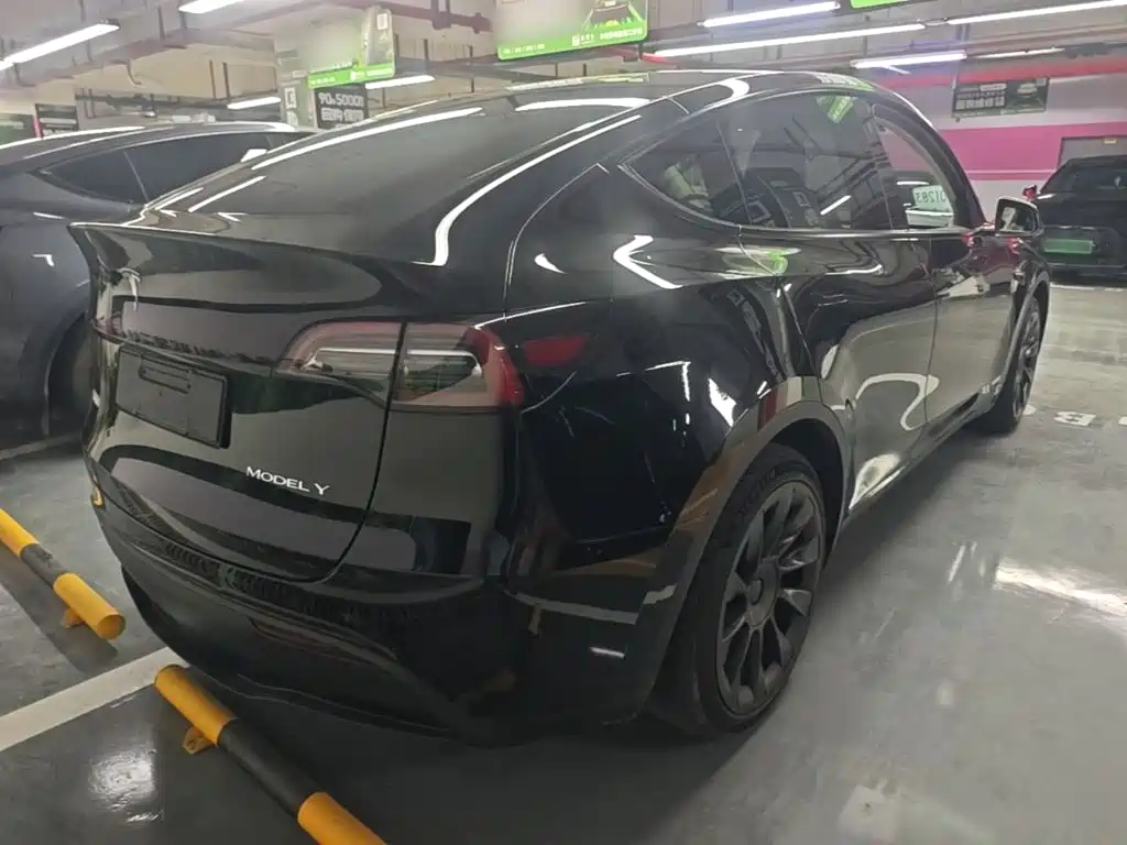 Tesla Model Y — миниатюра 7