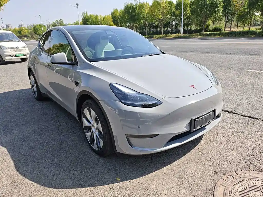 Tesla Model Y — миниатюра 3