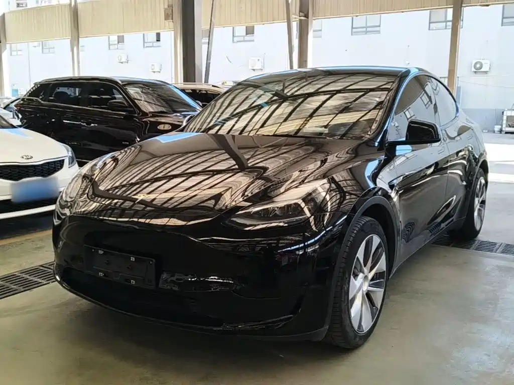 Tesla Model Y — миниатюра 2