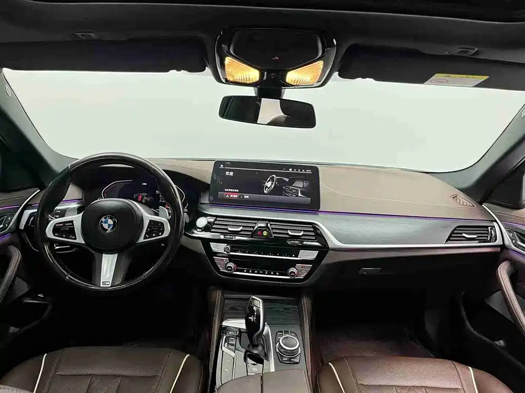 BMW 5 Series 5 2022 530Li xDrive M Sport
