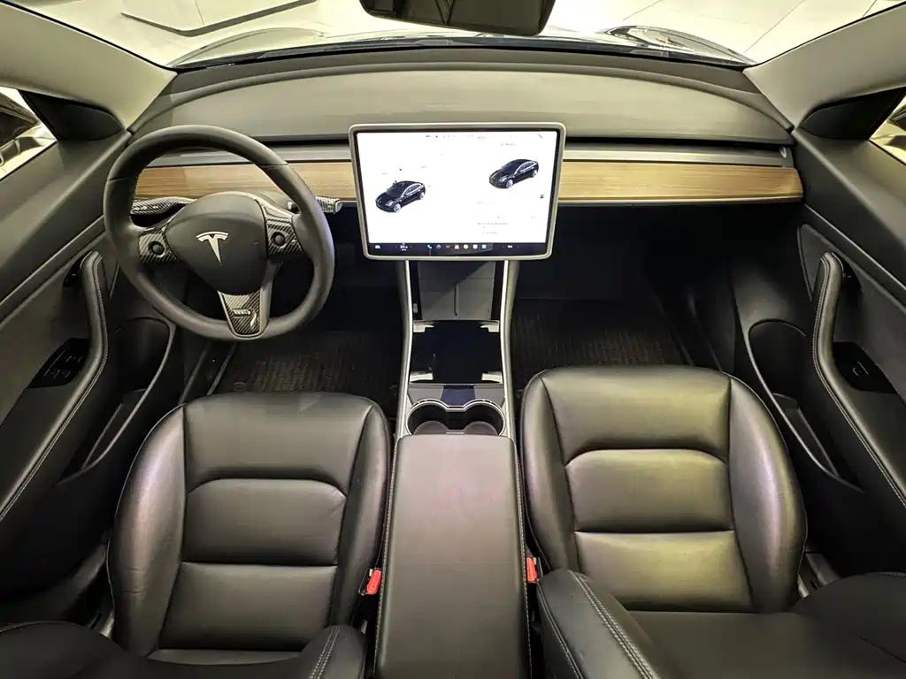 Tesla Model 3 — миниатюра 6