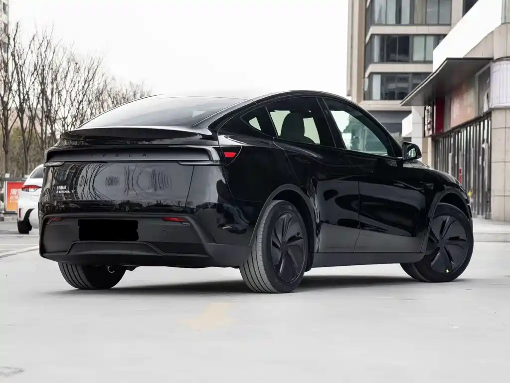 Tesla Model Y — миниатюра 4