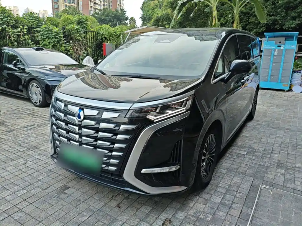 Denza Denza D9 — миниатюра 2