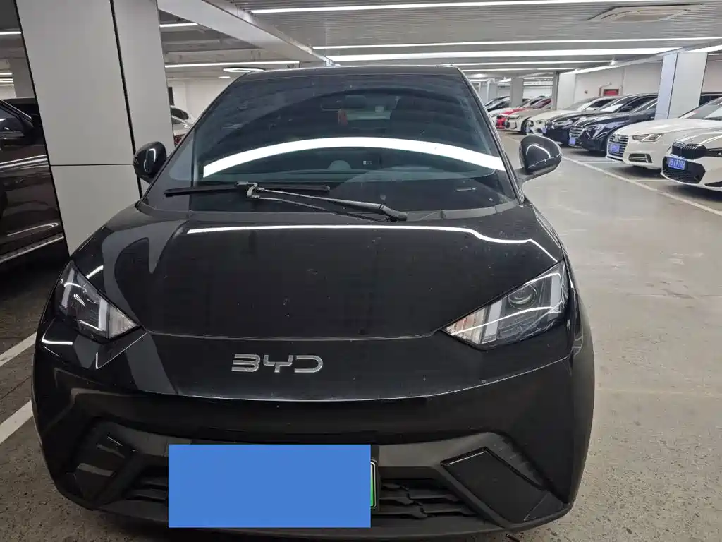 BYD Seagull - фото 2