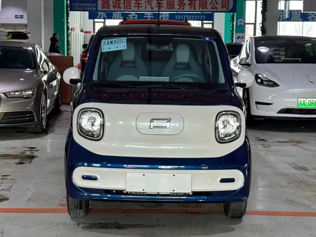 BESTUNE PENTIUM PONY