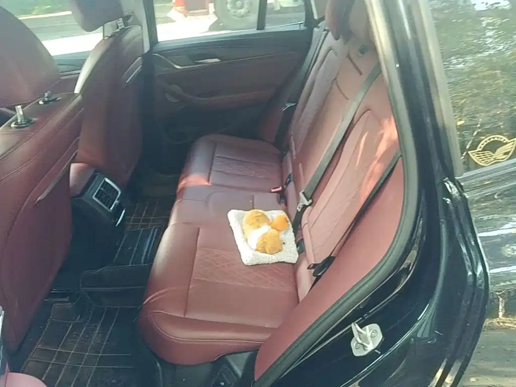 BMW X3 — миниатюра 17