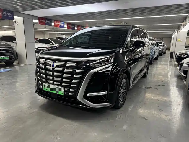 2024 Denza D9