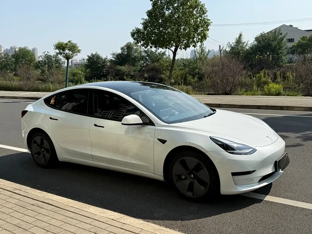 Tesla Model 3 — миниатюра 7