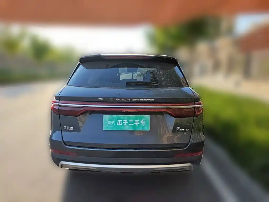 BYD Pro — миниатюра 5