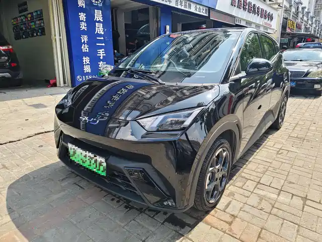BYD SEAGULL 2024