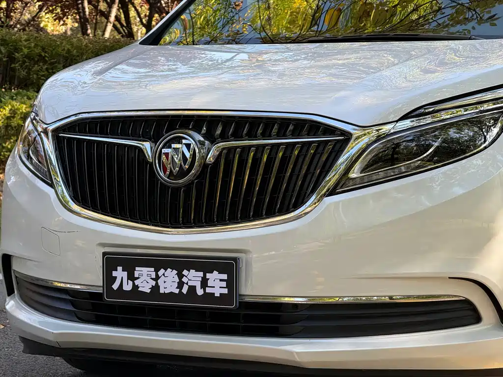 Buick GL8 — миниатюра 4