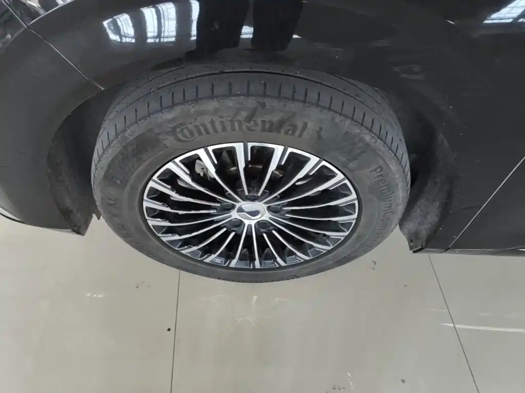 Denza Denza D9 — миниатюра 23