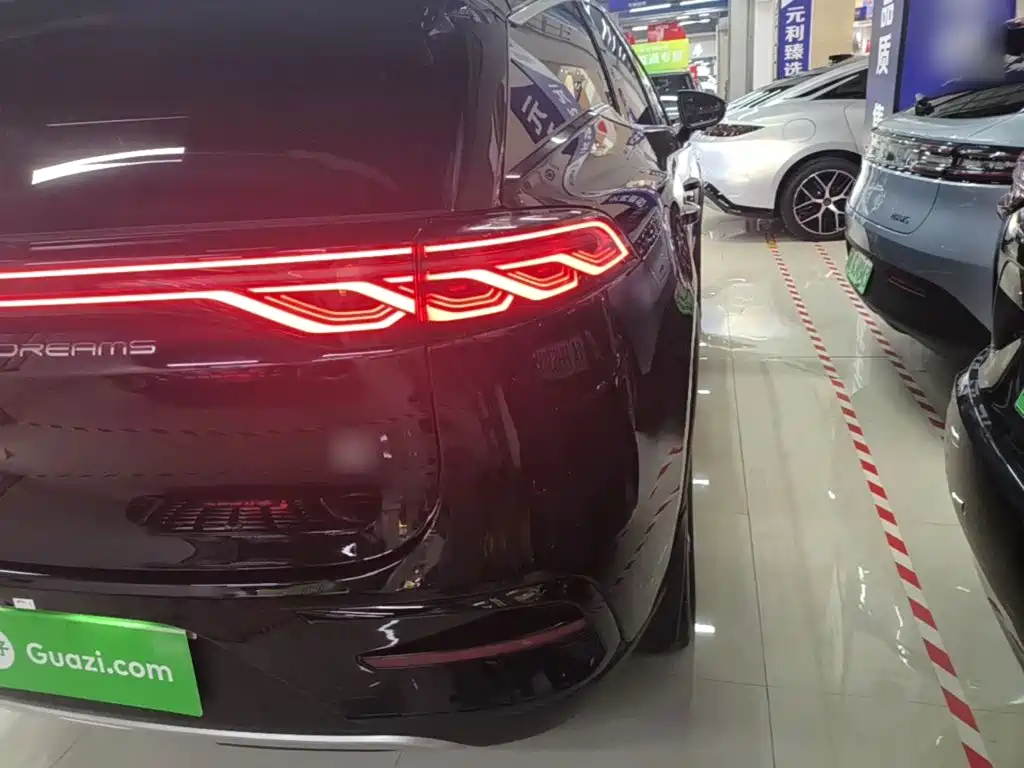 BYD Tang New Energy — миниатюра 8