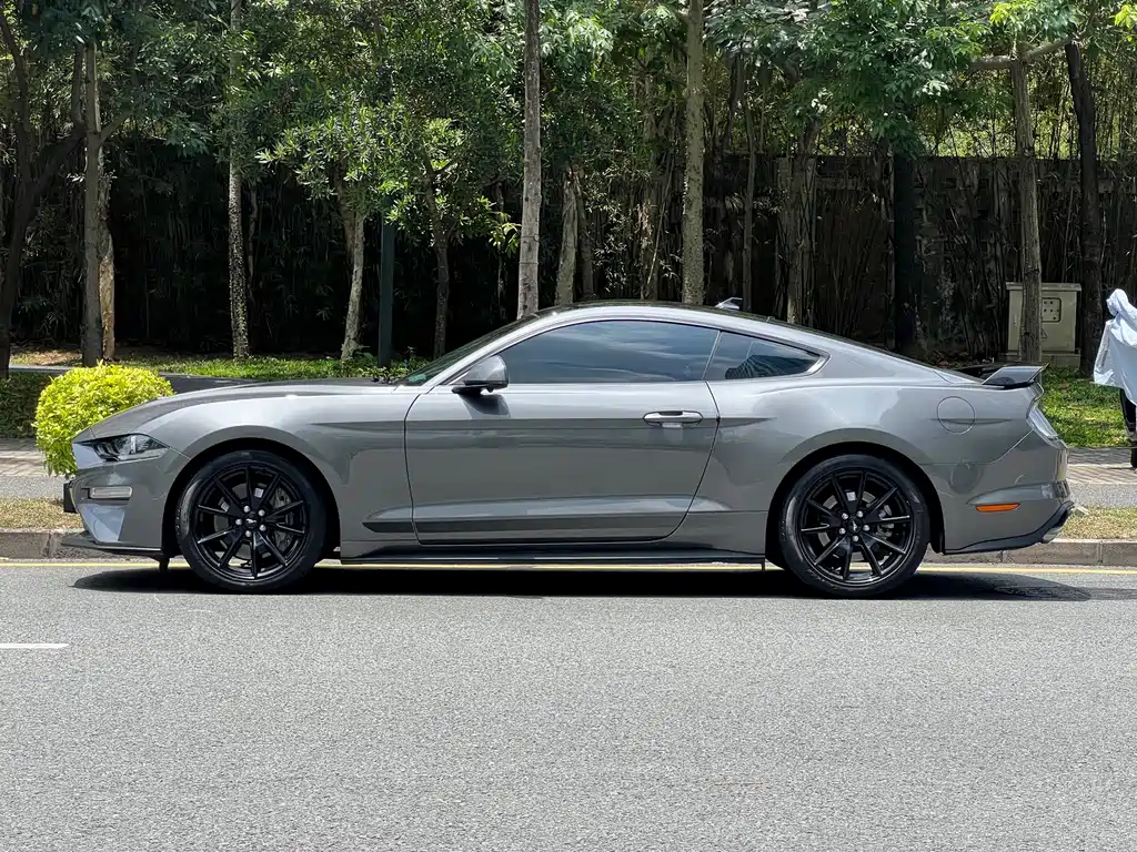 Ford Mustang — миниатюра 4
