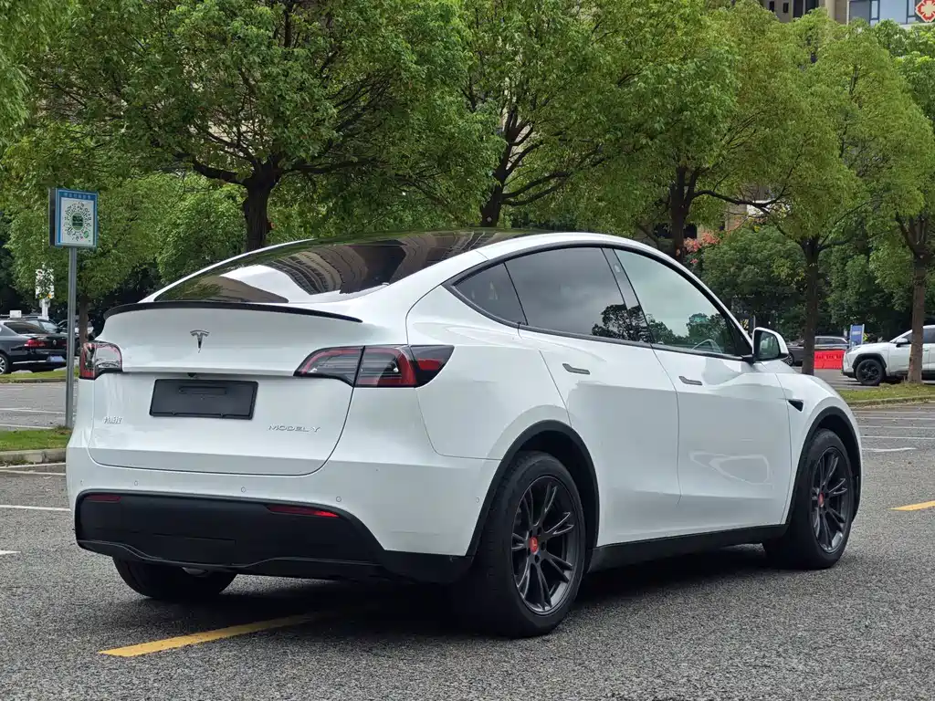 Tesla Model Y — миниатюра 4
