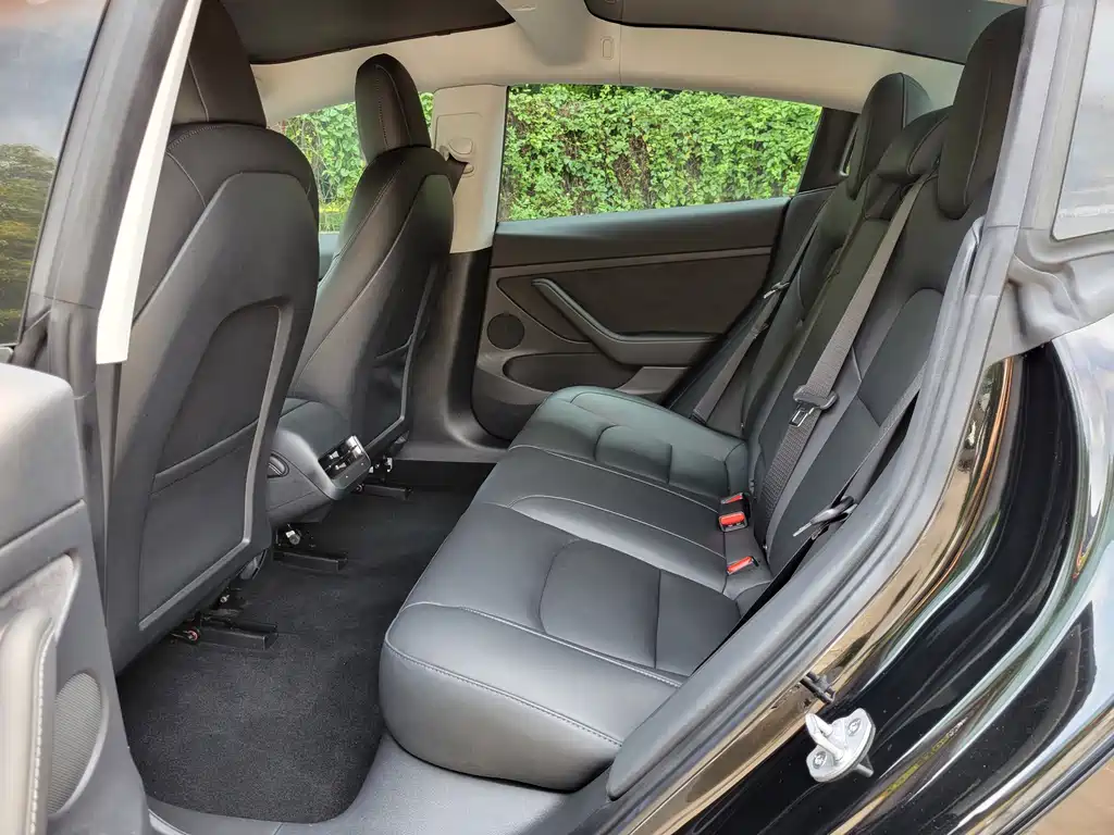 Tesla Model 3 — миниатюра 8