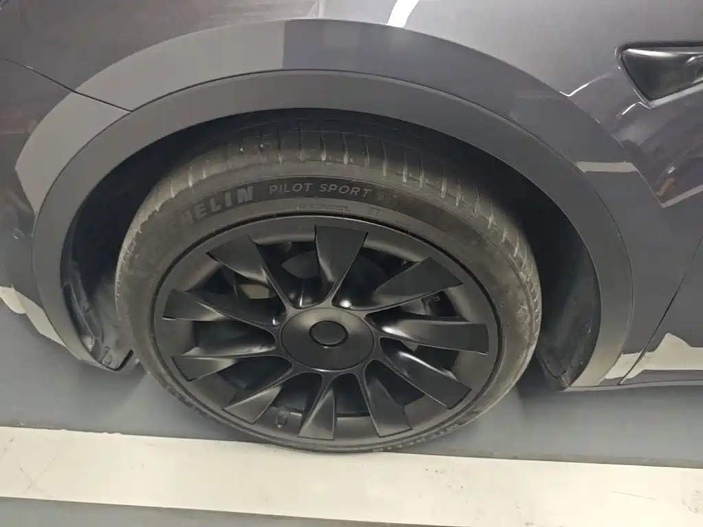 Tesla Model Y — миниатюра 23
