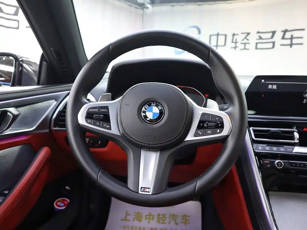 BMW 8 Series — миниатюра 13