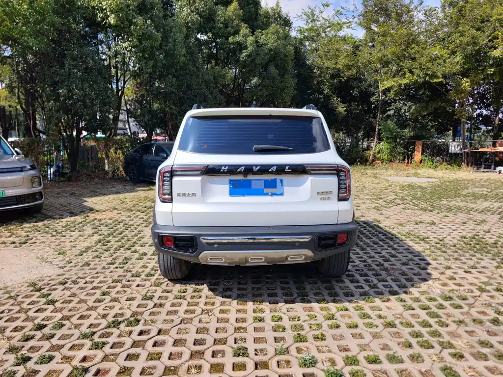 Haval Big Dog — миниатюра 9